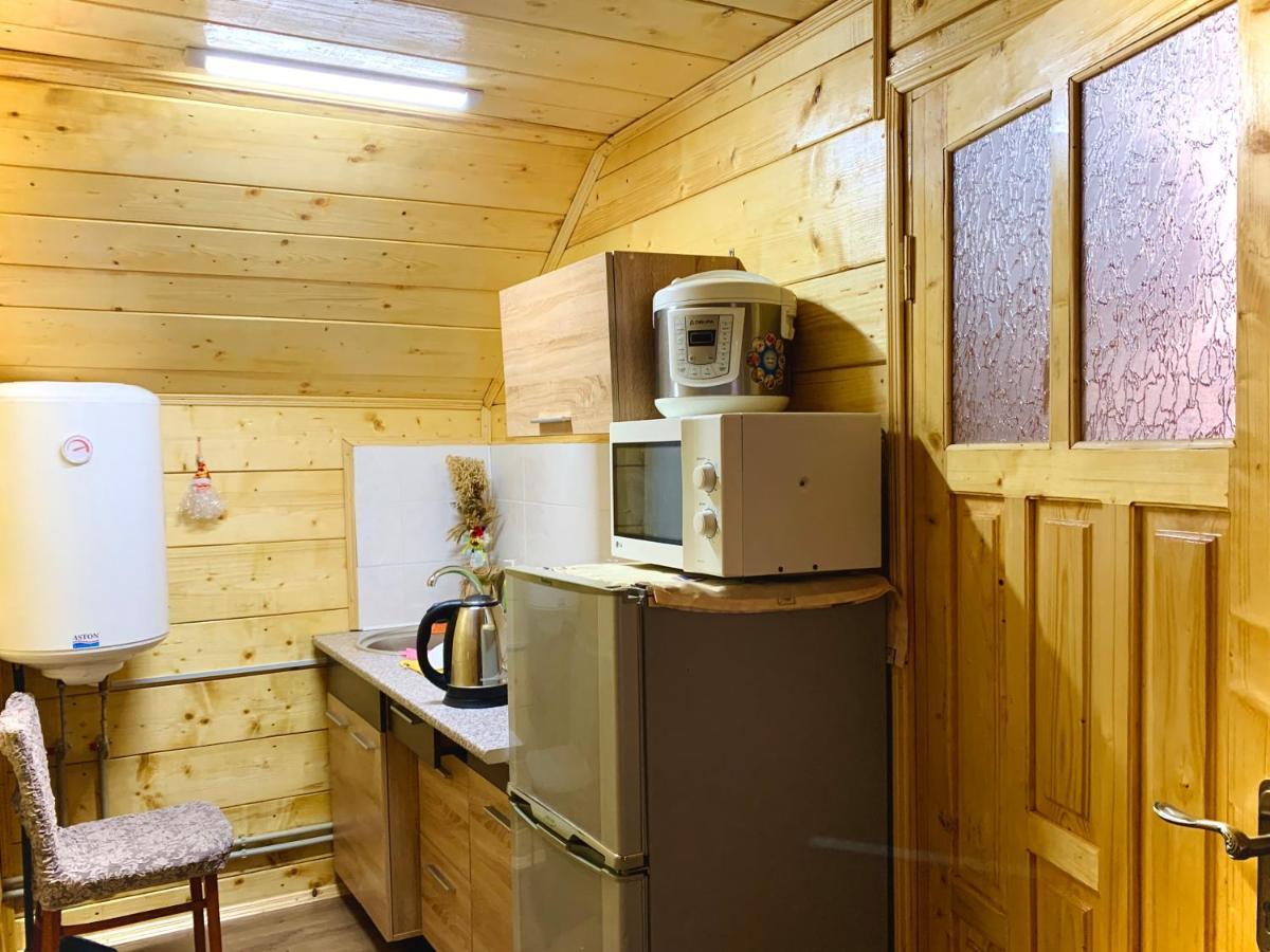 За Горбами Apartment Яремче Екстериор снимка